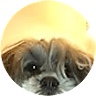 Heidi