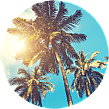 R-Vacation