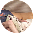 Sam