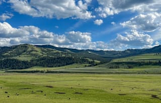 4WD Montana Adventure "Jane" UNLIMITED MILES