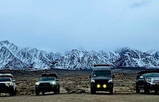 Sadie: Your Ultimate Adventure Companion