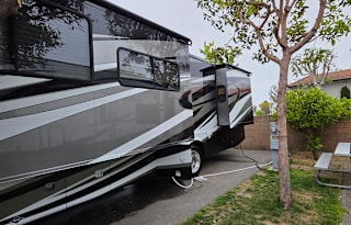 The Mother ship