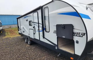 Alpha Wolf Bunk Beds, Family Friendly