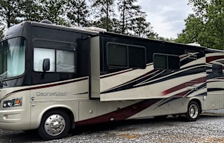 2011 FOREST RIVER GEORGETOWN (GEORGIA)