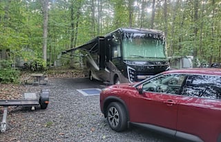 Baloo and Baxter's RV Getaway