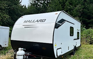Cozy 20ft PNW travel trailer