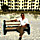 Reviewer Photo