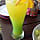 Reviewer Photo