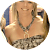 Melissa
