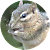 Ed
