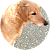 Mindie