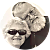 Joe