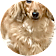Tom