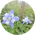 reviewer profile image