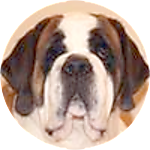 reviewer profile image