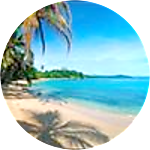 reviewer profile image