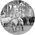 reviewer profile image