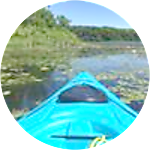 reviewer profile image