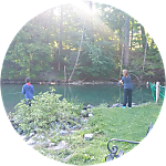 reviewer profile image