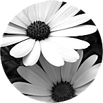 reviewer profile image