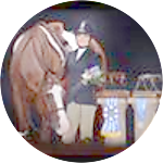 reviewer profile image