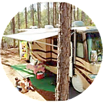 reviewer profile image