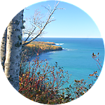reviewer profile image