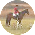 reviewer profile image