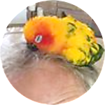 reviewer profile image