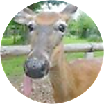 reviewer profile image