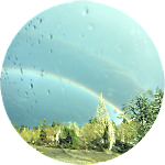 reviewer profile image