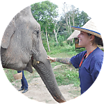 reviewer profile image