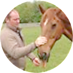 reviewer profile image
