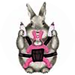 reviewer profile image