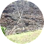 reviewer profile image