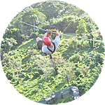 reviewer profile image