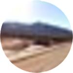 reviewer profile image