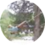 reviewer profile image