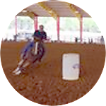 reviewer profile image