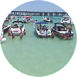 reviewer profile image