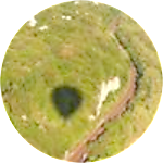 reviewer profile image