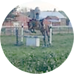 reviewer profile image