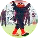 reviewer profile image