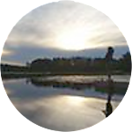 reviewer profile image