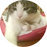 reviewer profile image