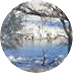 reviewer profile image