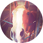 reviewer profile image