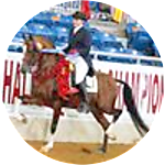 reviewer profile image