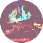 reviewer profile image