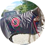 reviewer profile image